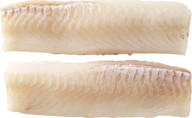 Frische Schellfischrücken