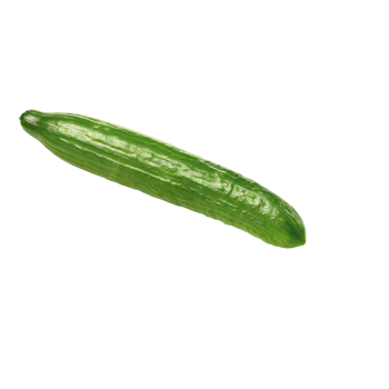 Spanien - Bio-Salatgurke