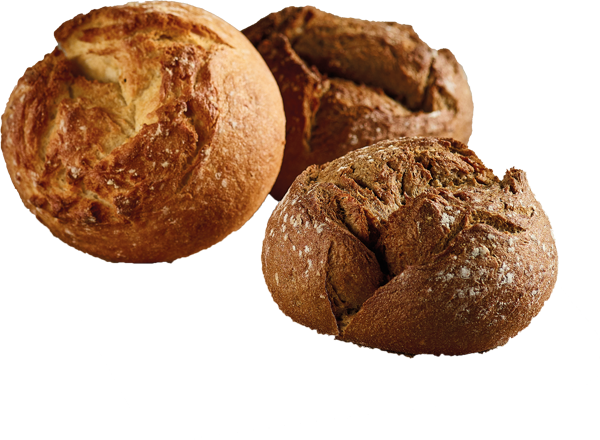 GUT&GÜNSTIG Kartoffelbrötchen