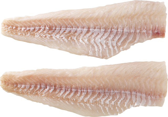 Frische Kabeljaufilets