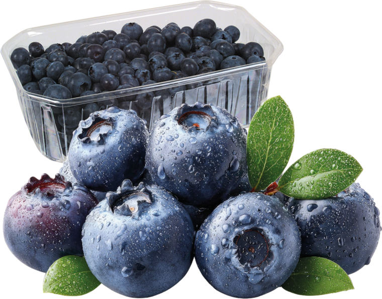 Peru Kulturheidelbeeren