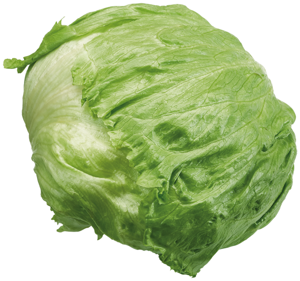 Deutschland GUT&GÜNSTIG Eisbergsalat
