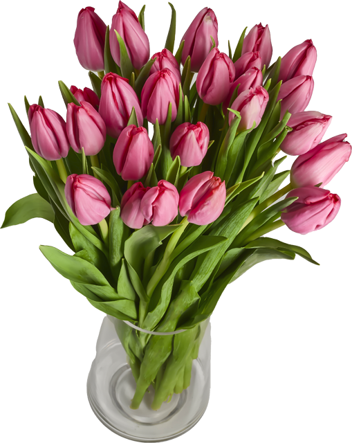 EDEKA Herzstücke Tulpenstrauß 