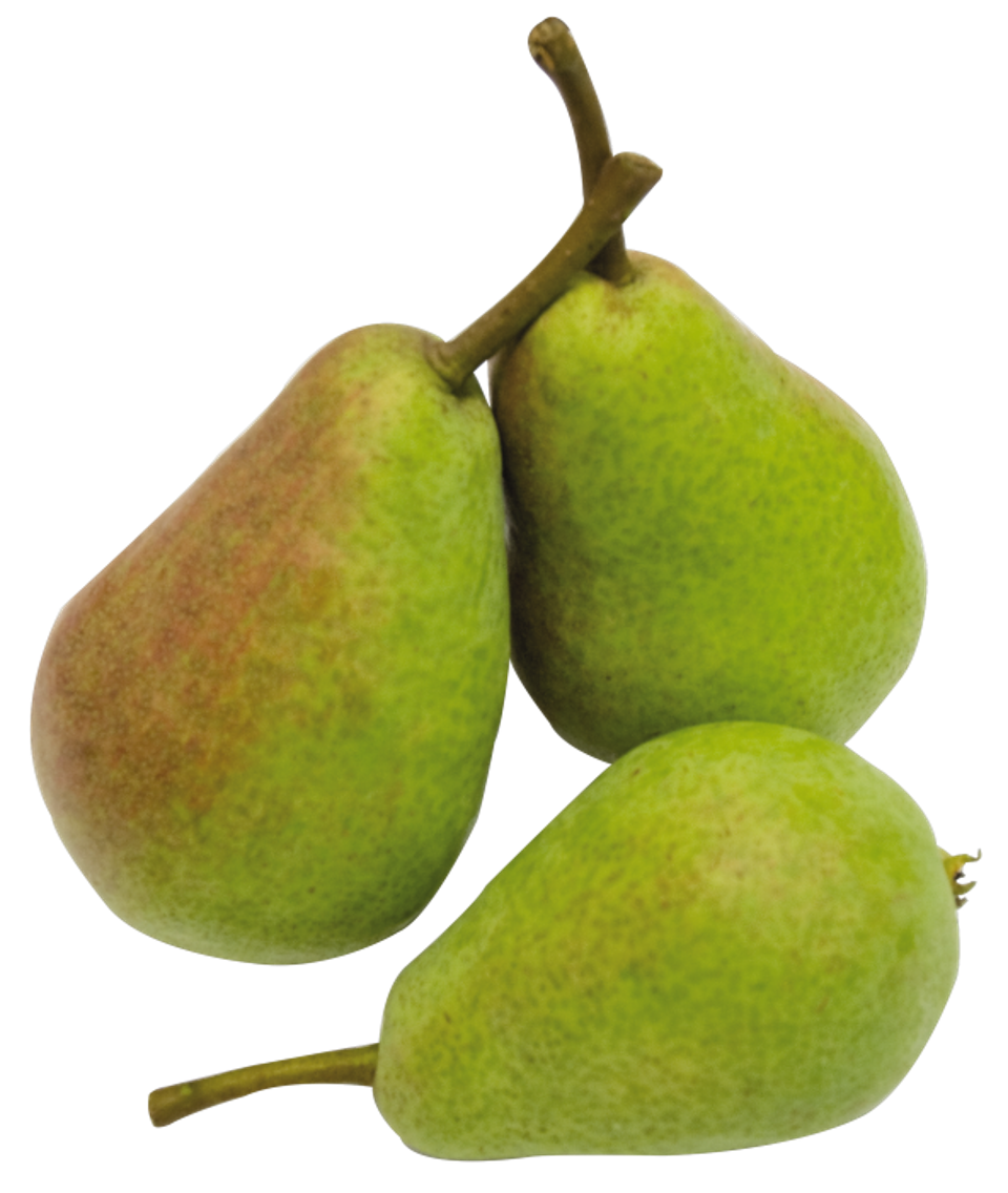 Koch- birnen