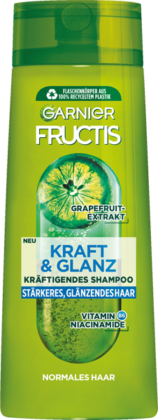 Garnier Fructis