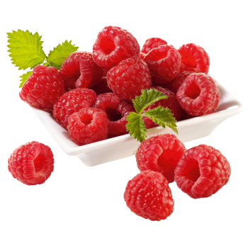 Marokko - Driscolls - Himbeeren