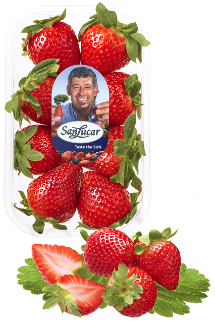 SanLucar Erdbeeren 