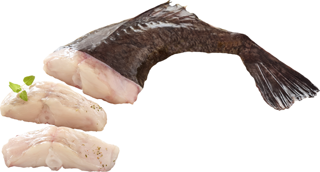 Seeteufel