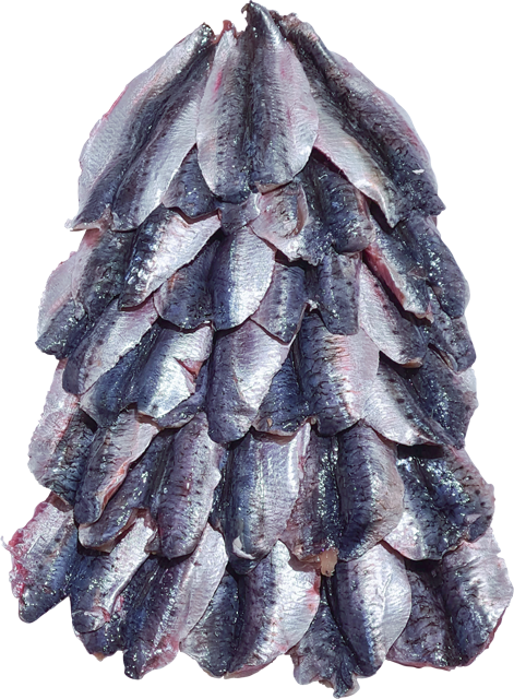 Sardinenfilets „Butterfly“