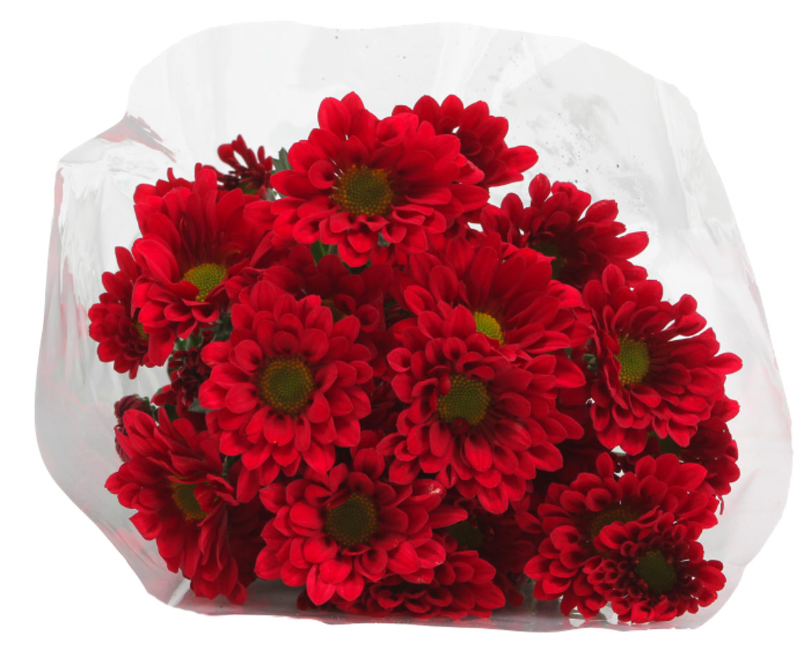 Chrysanthemen oder Bunter Strauß