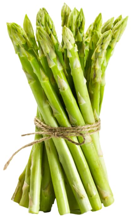 Spargel