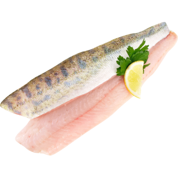 Zanderfilet (mit Haut)