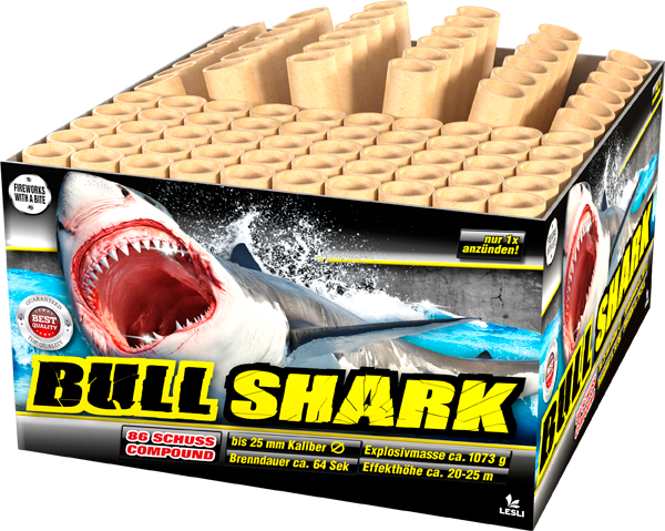 Bull Shark