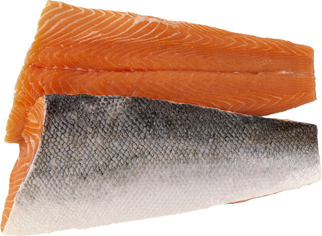 Frische Lachsfilets