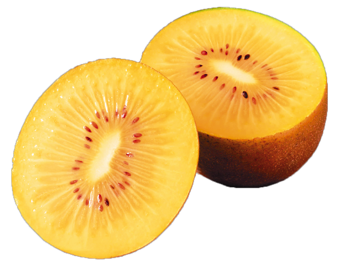 Zespri Bio Kiwi Gold Jumbo