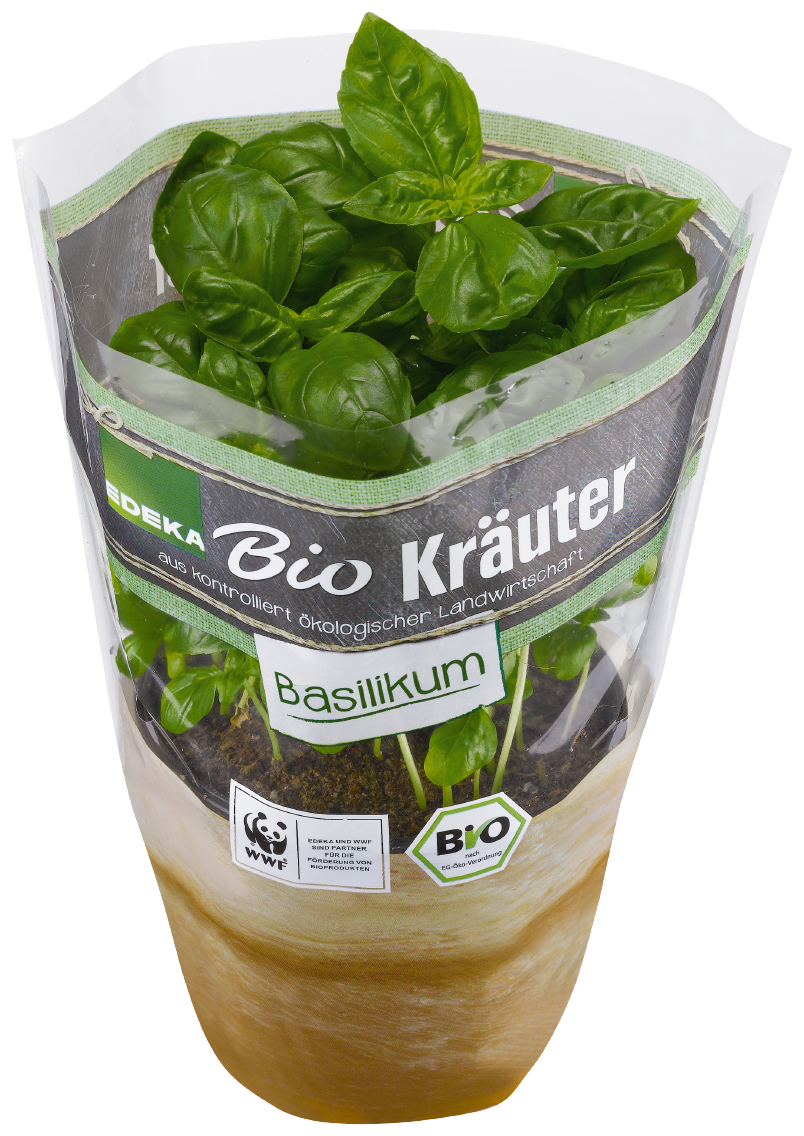EDEKA Bio Basilikum
