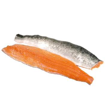 Lachsfilet