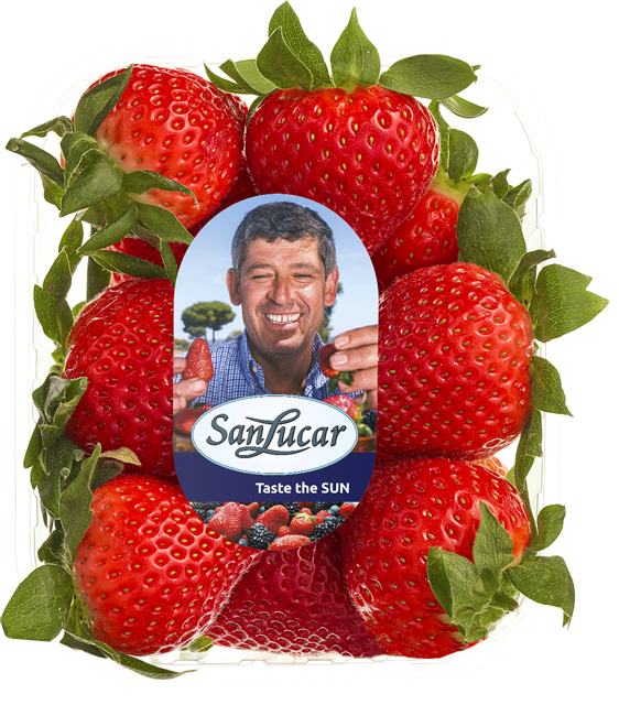 SanLucar Erdbeeren 