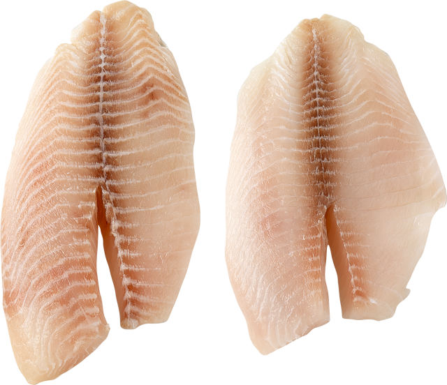 Tilapiafilets