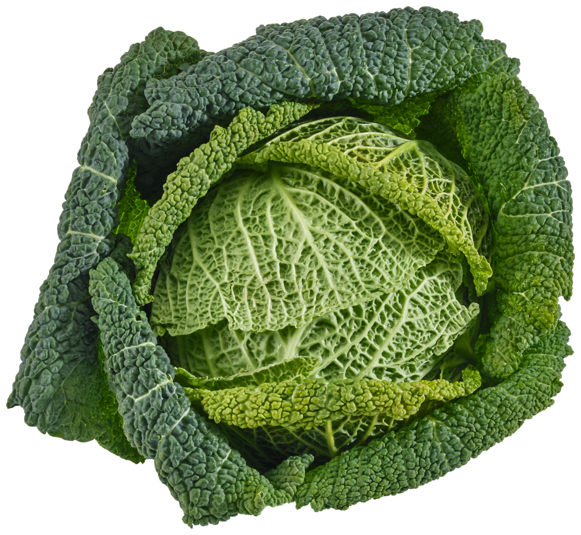 Unsere Heimat Wirsingkohl, Spitzkohl oder Steckrüben