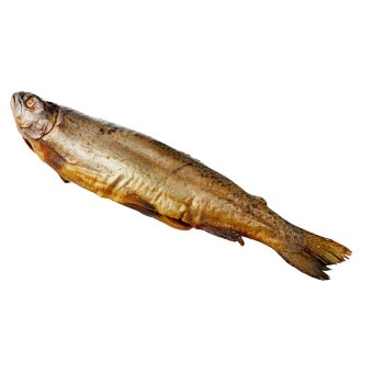 Geräucherte Lachsforelle