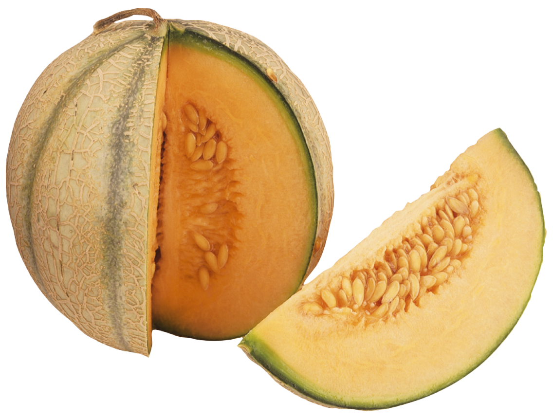 Cantaloupe Melonen oder Galia Melonen aus Brasilien