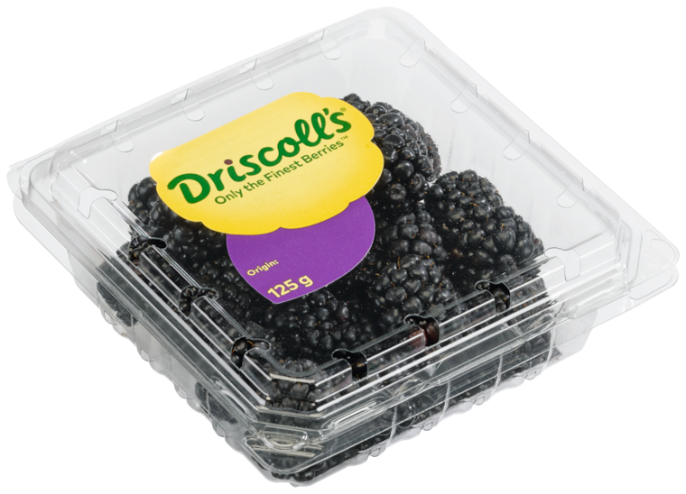 Driscoll´s Brombeeren