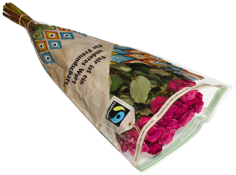 Lieblingsblume Rosen oder Weihnachtsstern