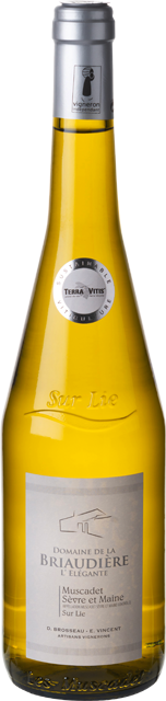 Loire Domaine de la Briaudière Muscadet Sèvre & Maine Sur Lie trocken