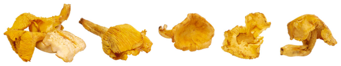 Pfifferlinge