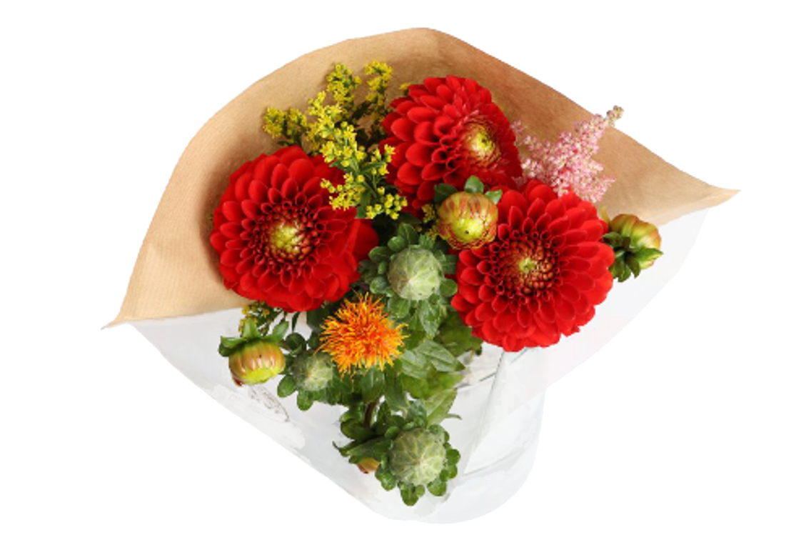 Dahlienstrauß oder Rosen