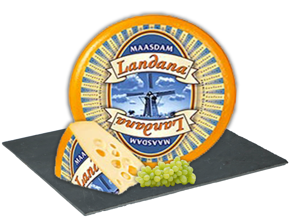 Landana Maasdammer holländischer Schnittkäse