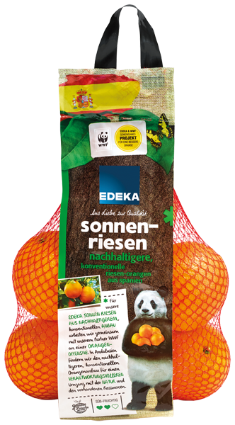 Spanien EDEKA Orangen