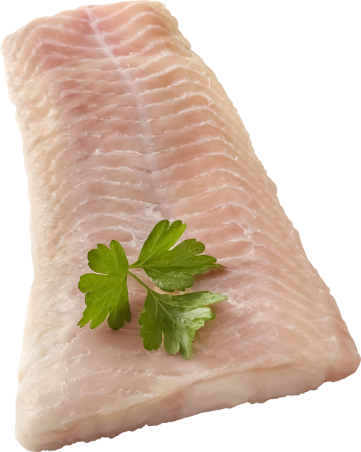 ²,³MSC Steinbeißerfilets 