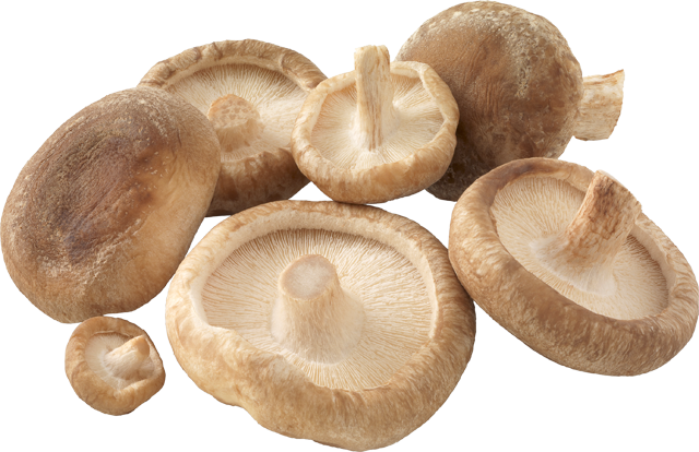 Unsere Heimat – echt & gut Bioland-Shii Take oder Kräuterseitlinge 