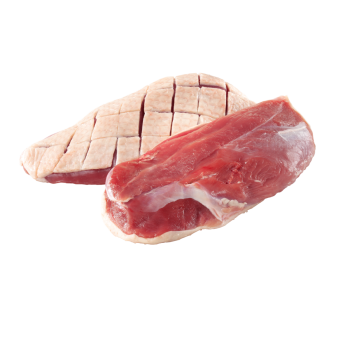 Frisches Barbarie-Entenbrustfilet