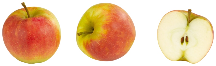 Tafeläpfel „Gala"
