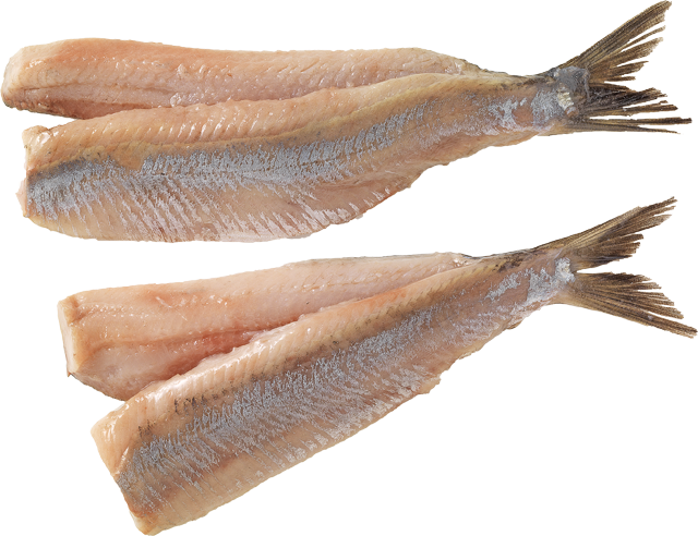 Königs-Doppelmatjesfilets