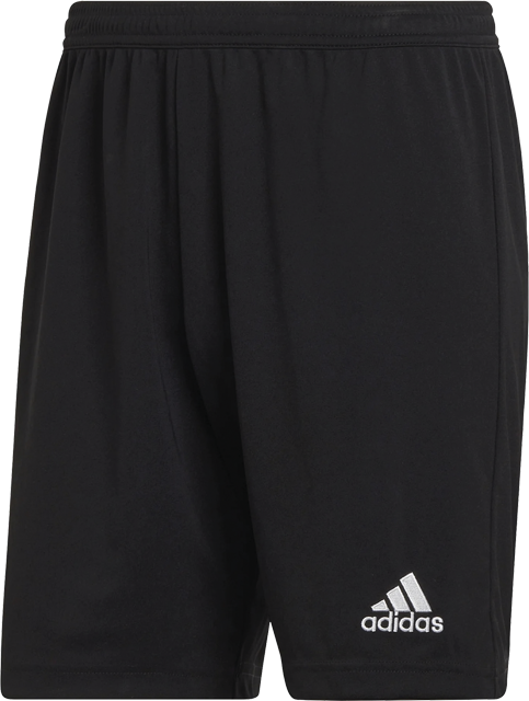 adidas Herren Trainingsshorts