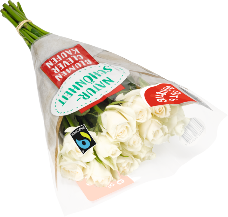 GUT&GÜNSTIG Moosrosen