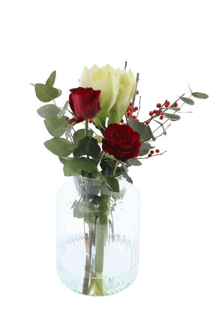 Amaryllis Rosenstrauß