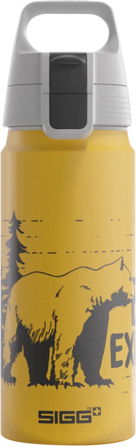 SIGG Brave Trinkflasche