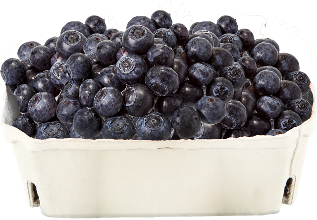 Heidelbeeren