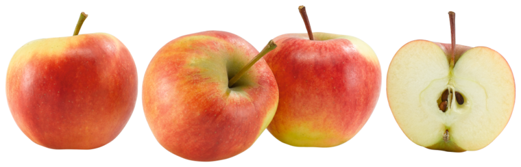 Demeter Bio Tafeläpfel