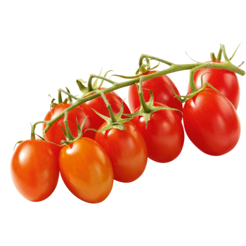 Deutschland - meinLand - Mini-Roma-Rispentomaten