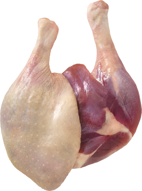 Frische deutsche Dithmarscher Gänsekeule 