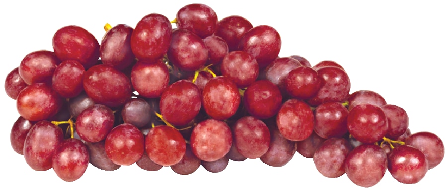 Tafeltrauben