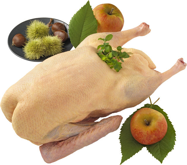 Ab Donnerstag erhältlich: Frische Dithmarscher Freilandgans 