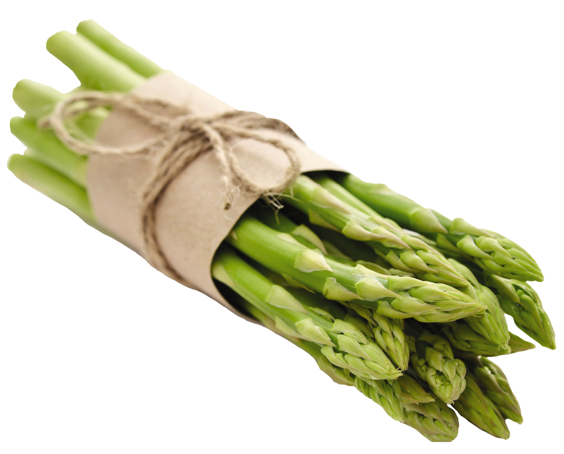 Spargel