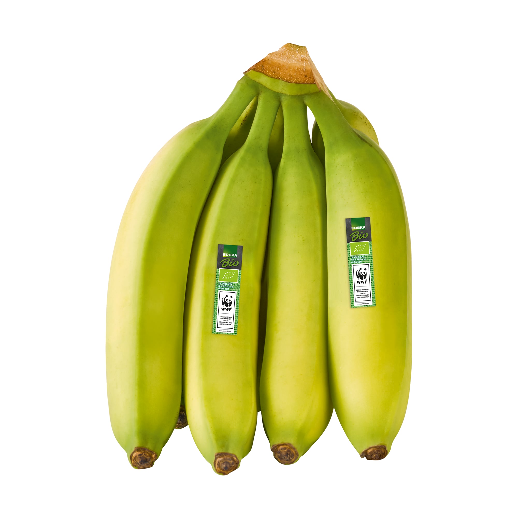 Gut & Günstig WWF Bananen